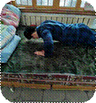 1175e27eaf7ce369822f26e2efe5bbe