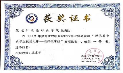师范类专业技能大赛（王宏宇）
